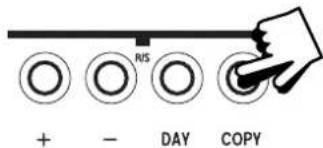 RIS + - DAY COPY