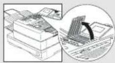 TOSHIBA TF831 - Belangrijke verzending - 2