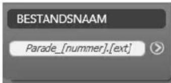 BESTANDSNAAM Parade_[nummer].[ext]