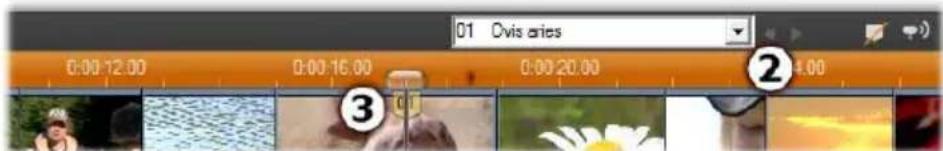 01 Ovis 4.00 0:00:12.00 0:00:16.00 0:00:20.00 0:00:24.00 ③