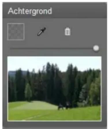 PINNACLE Studio Ultimate 14 - Het achtergrondpaneel - 1
