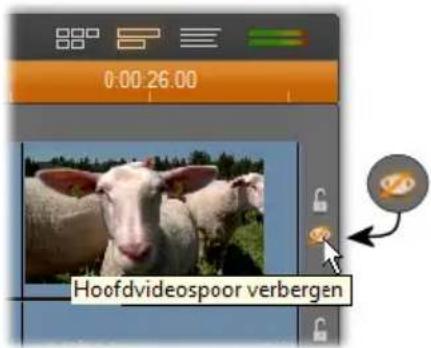 0:00:26.00 Hoofdvideospoor verbergen