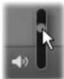 PINNACLE Studio 14 - De browser aanpassen - 4