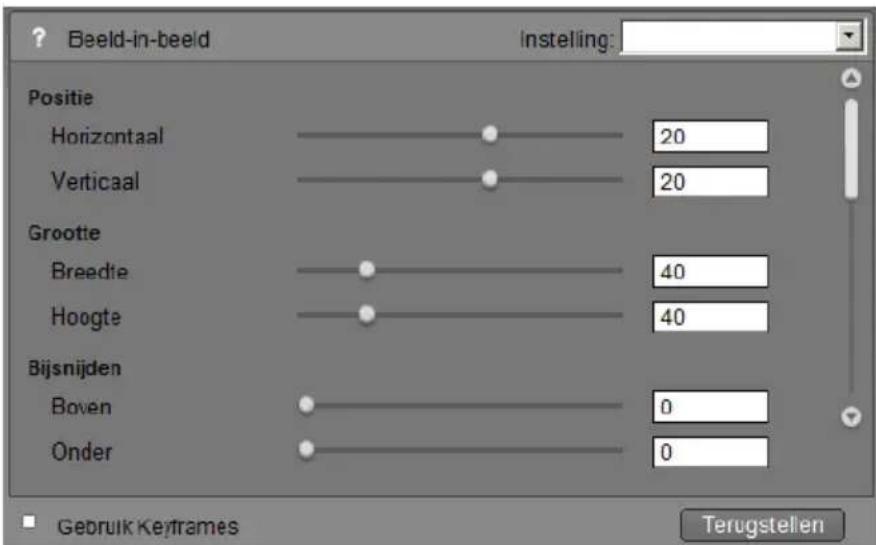 Beeld-in-beeld Instelling: Positie Horizontaal 20 Verticaal 20 Grootte Breedte 40 Hoogte 40 Bijsnijden Boven 0 Onder 0 Gebruik Keyframes Terugstellen