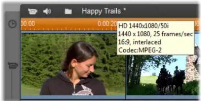 Happy Trails * HD 1440x1080/50i 1440 x 1080, 25 frames/sec 16:9, interlaced Codec:MPEG-2