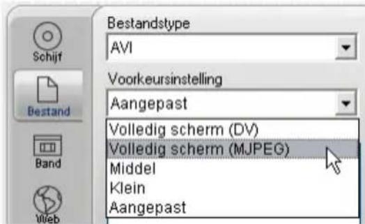 Bestandstype AVI Voorkeursinstelling Aangepast Volledig scherm (DV) Volledig scherm (MJPEG) Middel Klein Aangepast