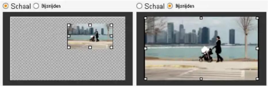 PINNACLE Studio 11 Plus - Knoppen van het gereedschap Beeld-in-beeld - 1