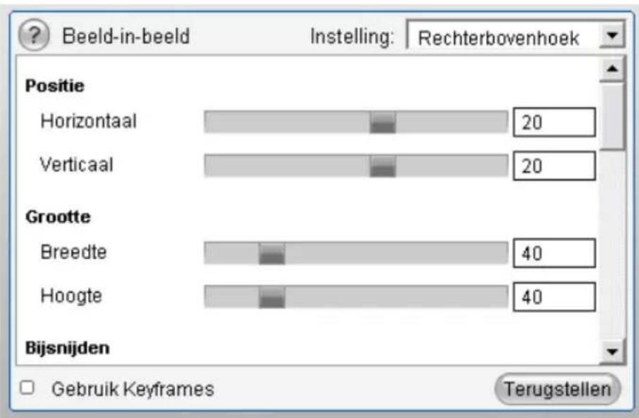 PINNACLE Studio 11 Plus - De interface van het BIB-effect - 1