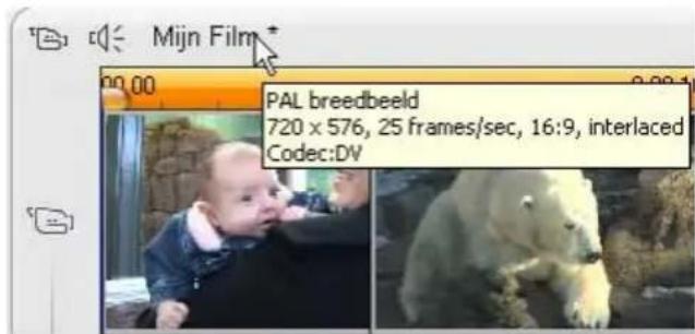 Mijn Film * PAL breedbeeld 720 x 576, 25 frames/sec, 16:9, interlaced Codec:DV