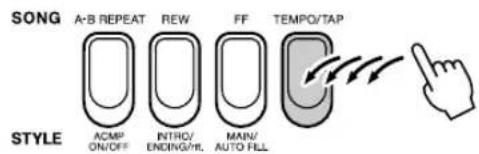 SONG A-B REPEAT REW FF TEMPO/TAP ACMP ON/OFF INTRO/ ENDING/HL MAIN/ AUTO FILL STYLE