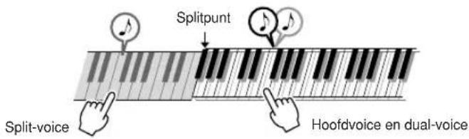Splitpunt Split-voice Hoofdvoice en dual-voice