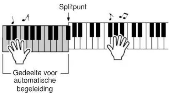 Splitpunt Gedeelte voor automatische begeleiding