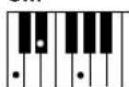 YAMAHA YPT-300 - Standaardakkoorden - 13