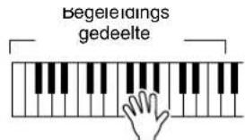 Begeleidings gedeelte