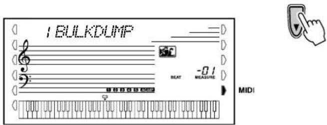 1 BULKDUMP BEAT MEASURE MIDI