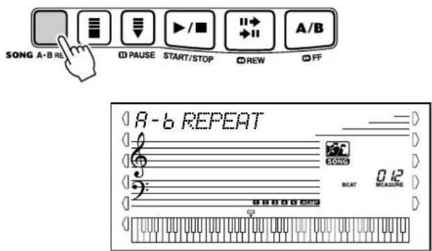 SONG A-B RE PAUSE START/STOP REW A/B (8-6 REPEAT) SONG BEAT 0.12 MEASURE 0.12
