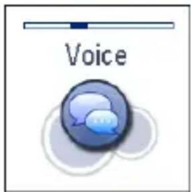 Voice