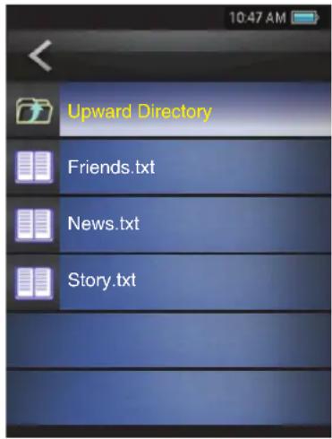 MPMAN TS302 PAK - Text Browser Controls - 1