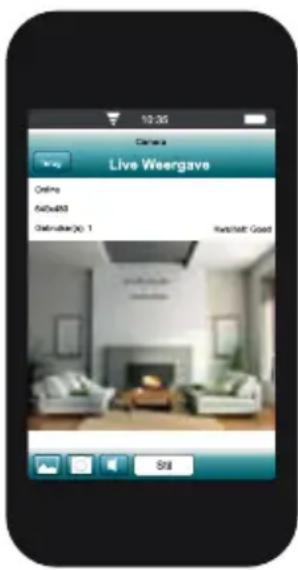 Live Weergave Online Rashbox Offline(x): 1 Rashbox Good