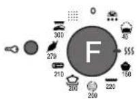 SCHOLTES FI 626 C - Barbecue - 8