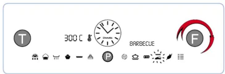 T 300 °C BARBECUE F