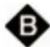 Ariston Thermo BFS 121 - De thermostaat - 1