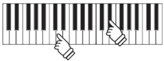 KAWAI CN14 - ■ Vertolking van een Concert Magic song - 1
