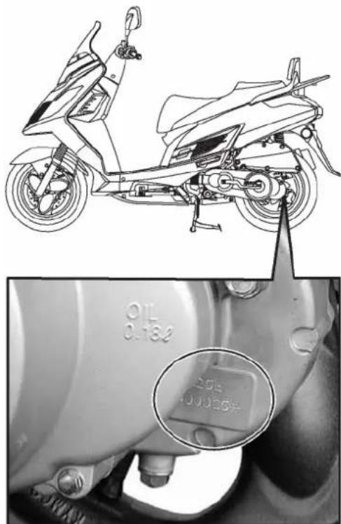KYMCO New Dink 200i - FRAMENUMMER - 2