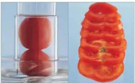 MAGIMIX Cuisine system 5100 - GEBRUIK VAN DE CITRUSPERS - 18