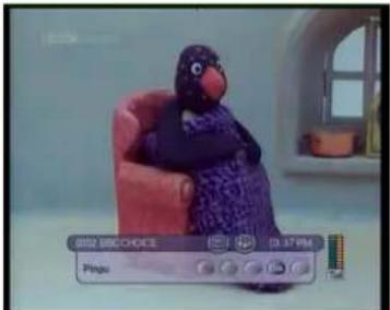 0120 DISCHOICE Pingu 0.37PM