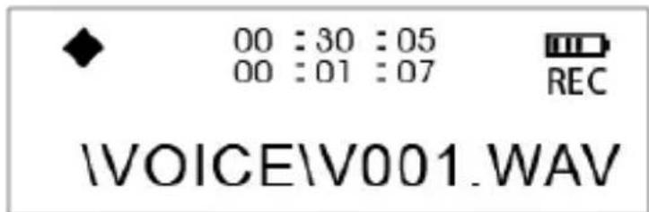 00 : 30 : 05 00 : 01 : 07 REC \VOICE\V001.WAV