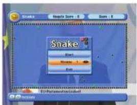 Snake Start End Save - 0 Snake End End