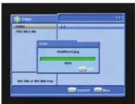 Cleary Avalda 1902 KB 3.880 Cleary Shelfount Grp 50% 1902 KB 3.880 1902 KB of KB 3.880 Anonym Menu