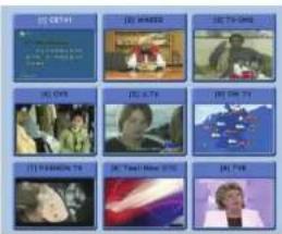 Clarke-tech HD5000C - ▶ Multi Plaatjes Scherm < Figuur 6.1.13 > - 1
