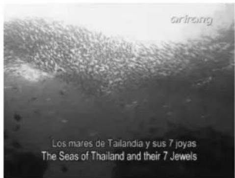 Girirang Los mares de Tailandia y sus 7 joyas The Seas of Thailand and their 7 Jewels