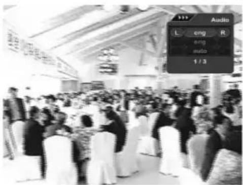 Audio L eng R eng auto 1 / 3