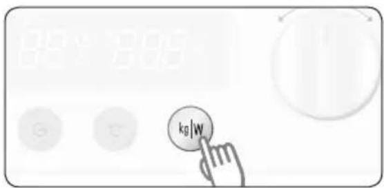 kg/W