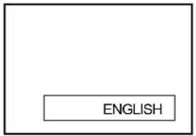 ENGLISH