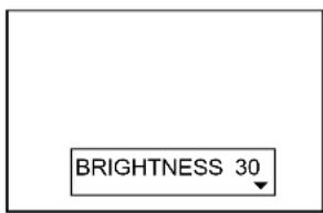 BRIGHTNESS 30