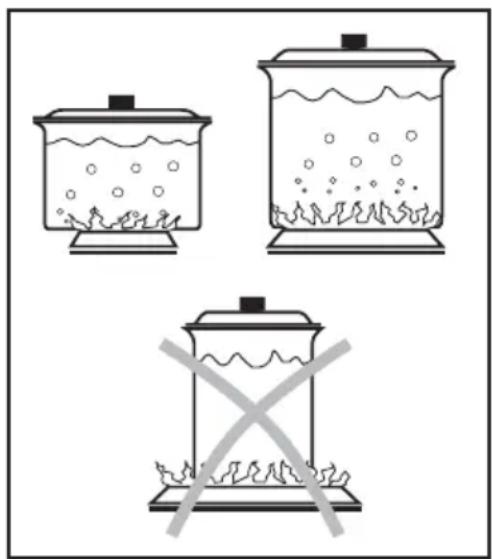 AEG-ELECTROLUX 65553G-M - The burners - 1