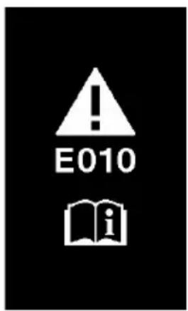 E010
