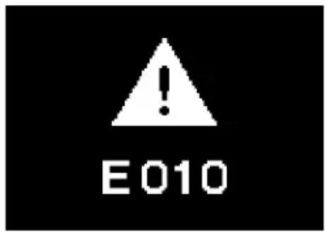 E010