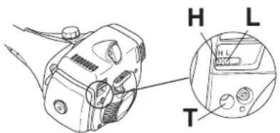 H L T