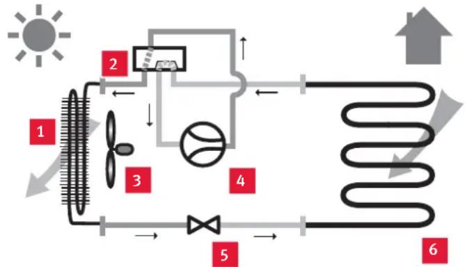 BULEX Magna AQUA - Verklaring - 1