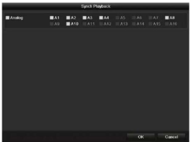Synch Playback Analog A1 A2 A3 A4 A5 A6 A7 A8 A9 A10 A11 A12 A13 A14 A15 A16 OK Cancel