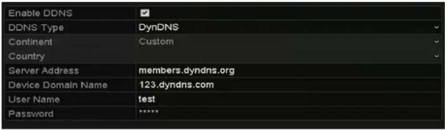 Enable DDNS DDNS Type DynDNS Continent Custom Country Server Address members.dyndns.org Device Domain Name 123.dyndns.com User Name test Password ****