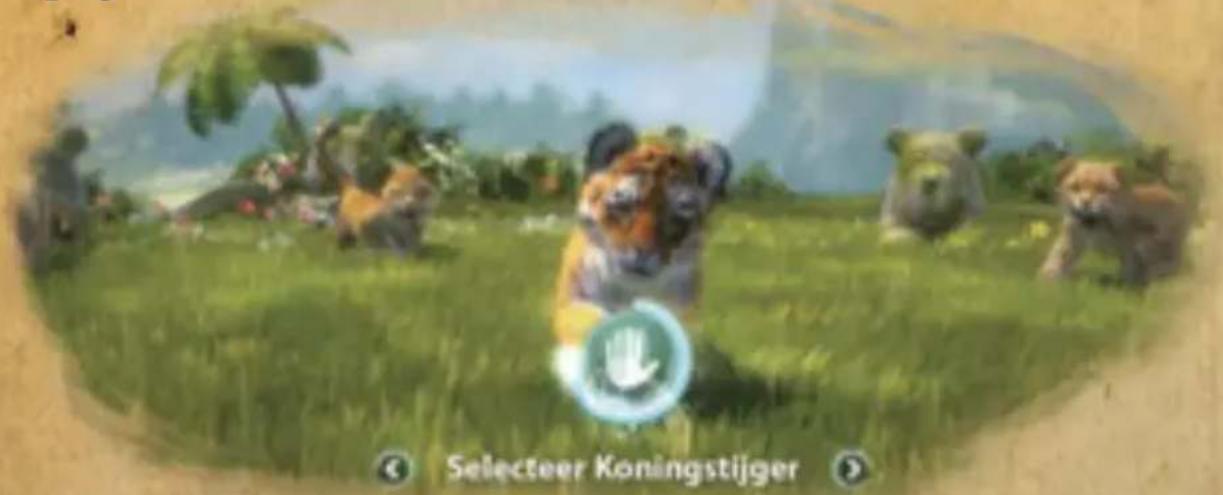Selecteer Koningstijger