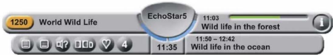 1250 World Wild Life EchoStar5 11:03 Wild life in the forest 11:35 11:50 - 12:42 Wild life in the ocean