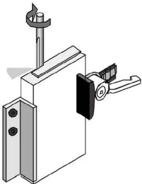 WoodRat WR5 - Het Uiteinde van een Plank Netjes Frezen - 1