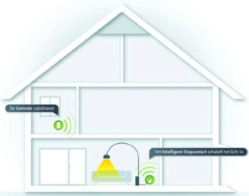 De Centrale coördineert Het Intelligent Stopcontact schakelt het licht in
